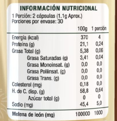 Melena de Leon 500mg x 60 caps