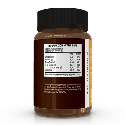 Cordyceps 500 mg